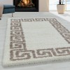 Hera Shaggy Modern Border Beige Rug