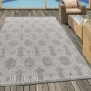 Osun Outdoor/Indoor Braided Design Grey Rug