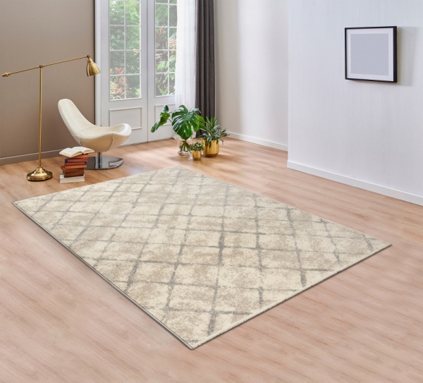 Designer Area Rug Beige for Bedroom, Living Room, Entryway, Office