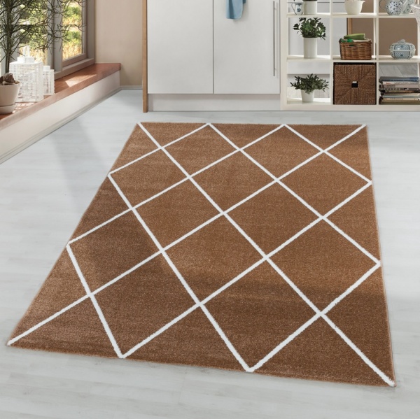 Rio Trendy Copper Rug