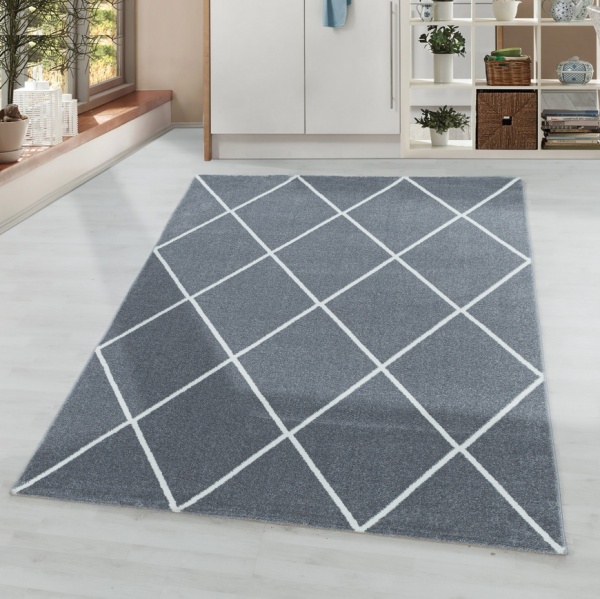 Rio Trendy Grey Rug